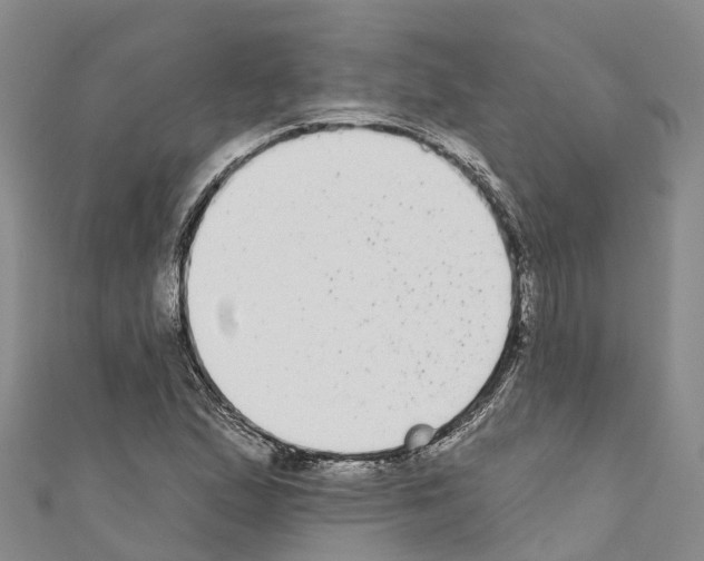 X0000110721167200907241200