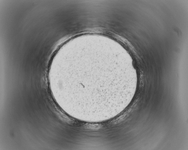 X0000110721168200907241200