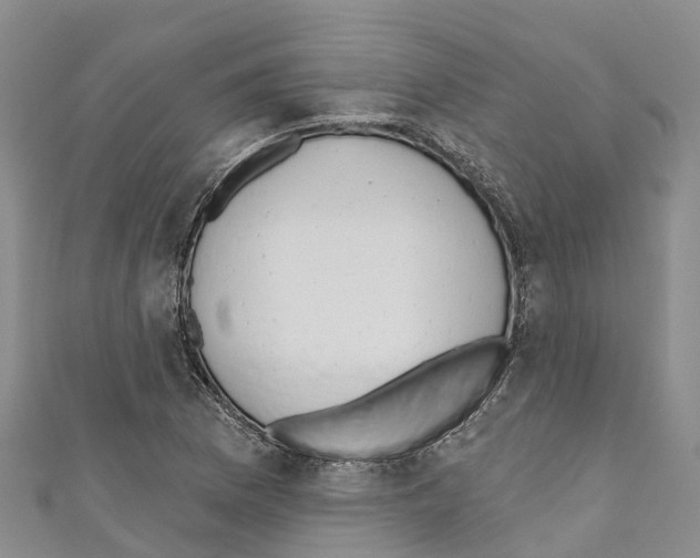 X0000110721169200907241200