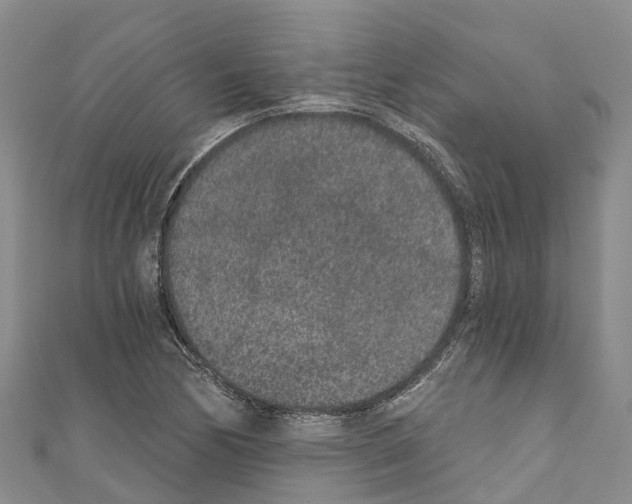 X0000110721170200907241200