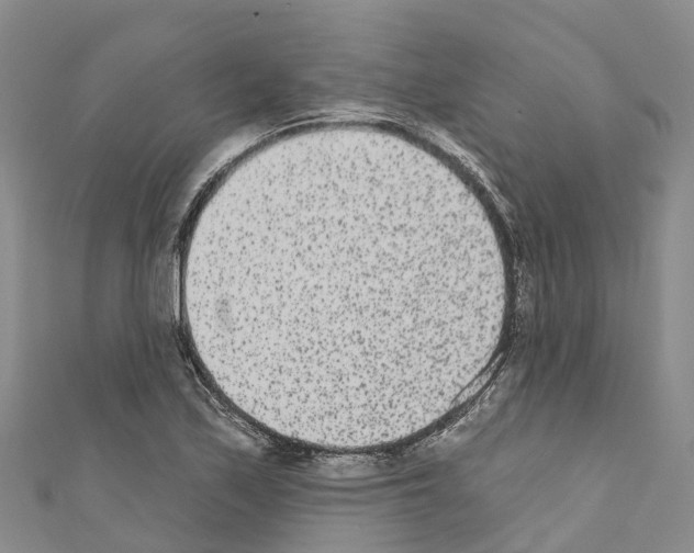 X0000110721171200907241200