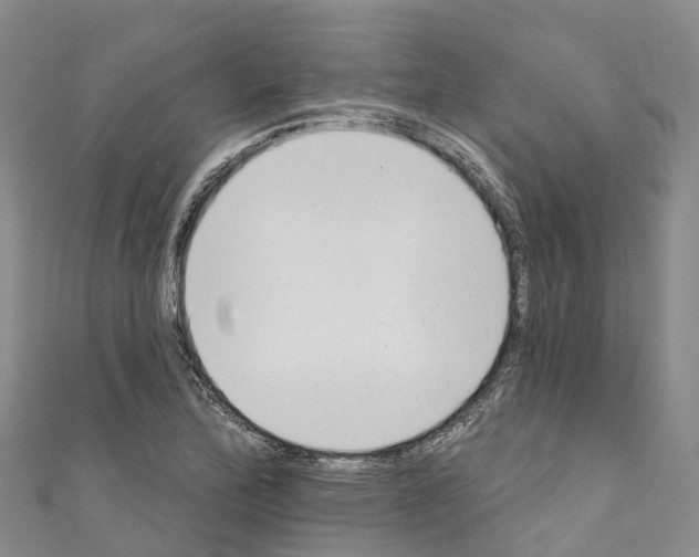 X0000110721172200907241200