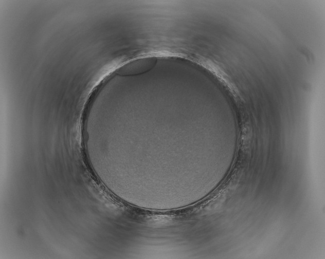 X0000110721173200907241200