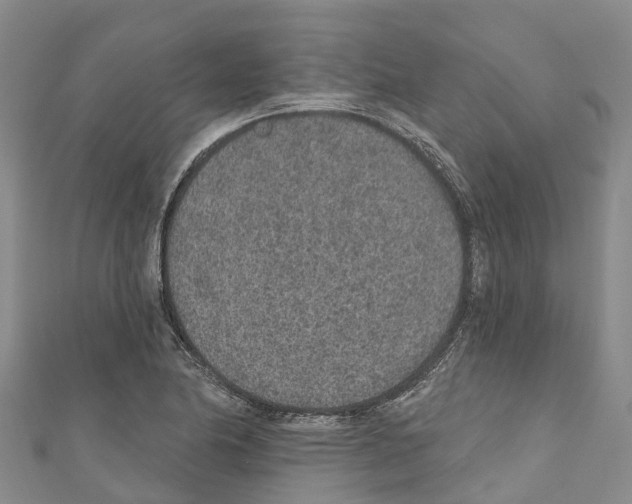 X0000110721174200907241200