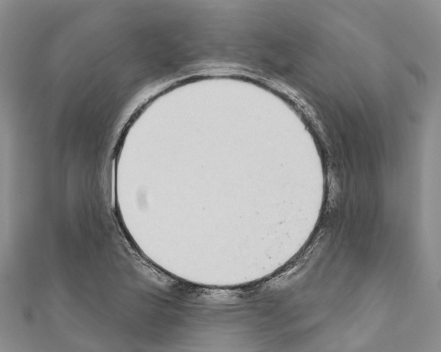 X0000110721175200907241200