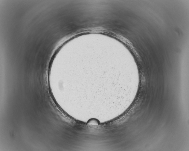 X0000110721176200907241200