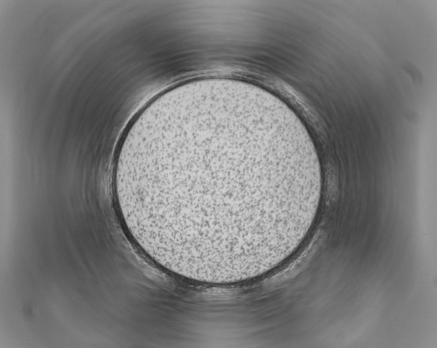 X0000110721178200907241200