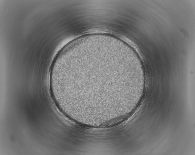 X0000110721179200907241200