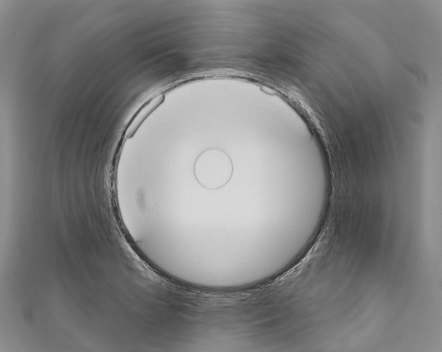 X0000110721181200907241200