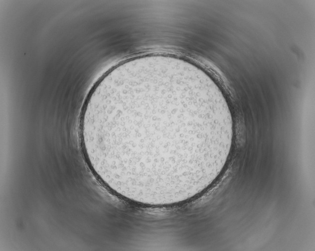 X0000110721182200907241200