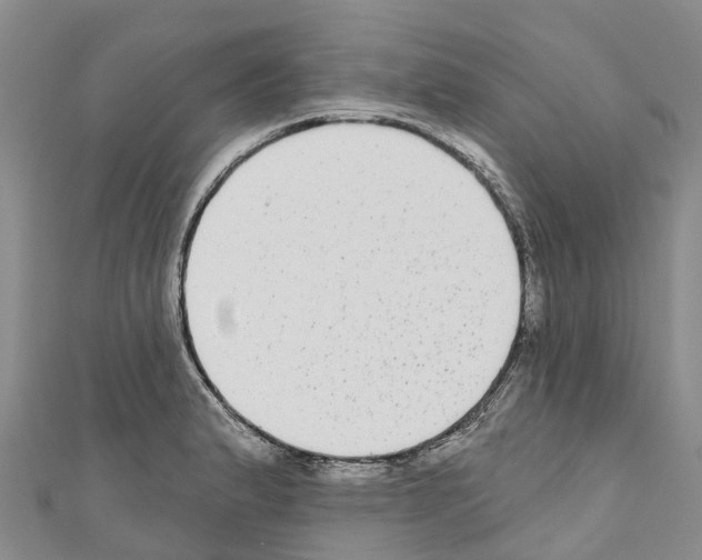 X0000110721183200907241200