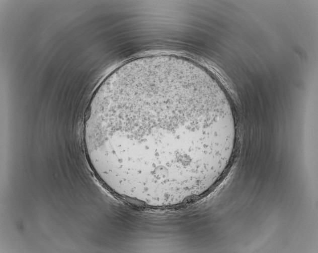 X0000110721185200907241200