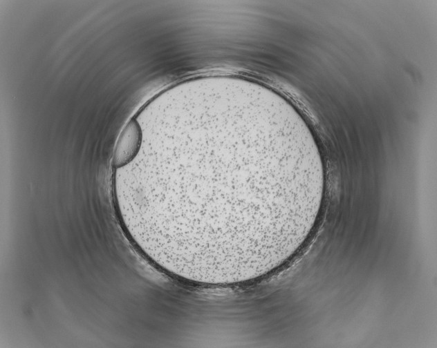 X0000110721186200907241200