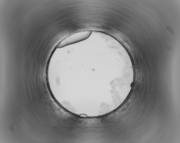 X0000110721189200907241200