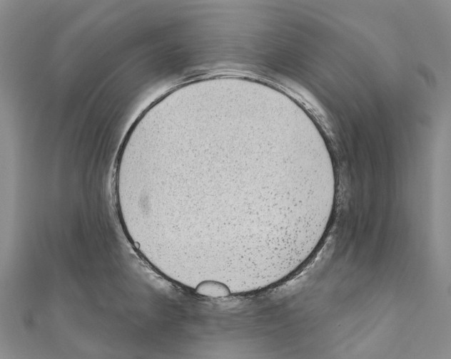 X0000110721190200907241200