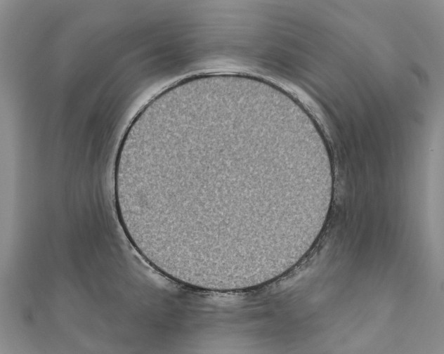 X0000110721191200907241200