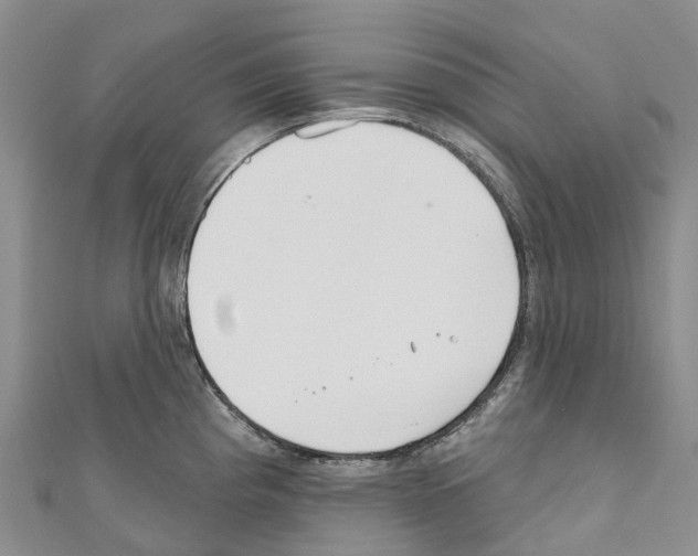 X0000110721193200907241200