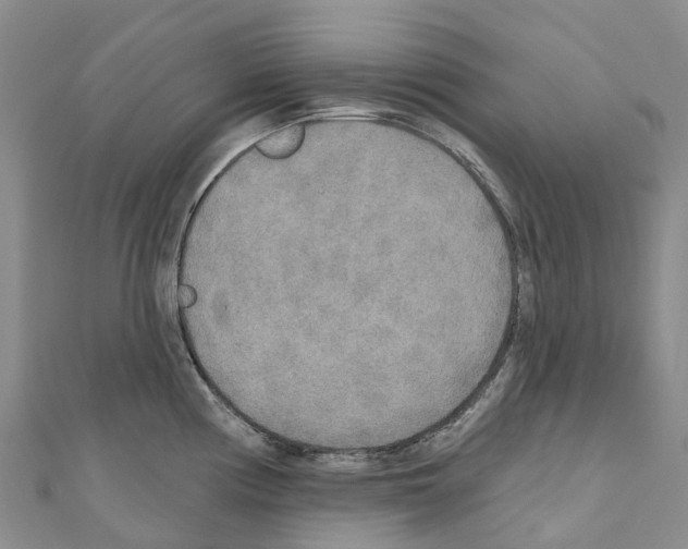 X0000110721194200907241200