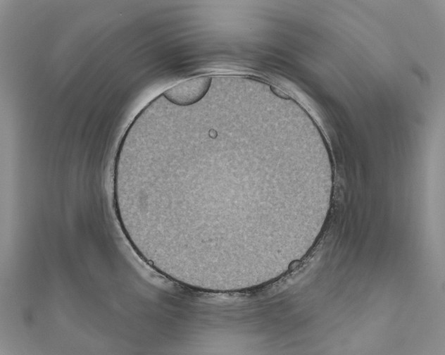 X0000110721195200907241200