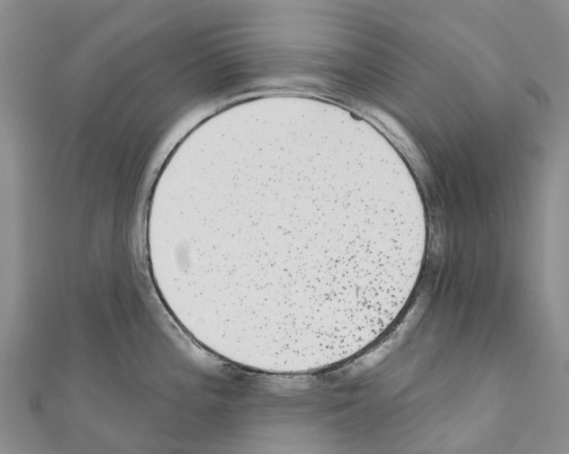 X0000110721196200907241200