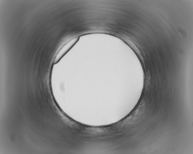 X0000110721197200907241200