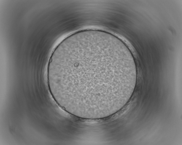 X0000110721199200907241200