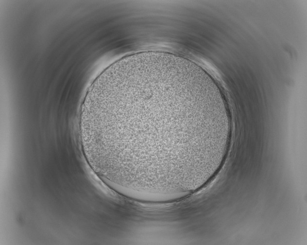 X0000110721200200907241200