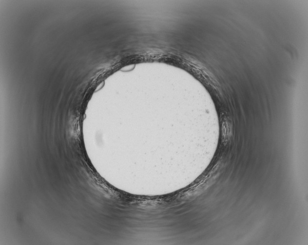 X0000110721204200907241159