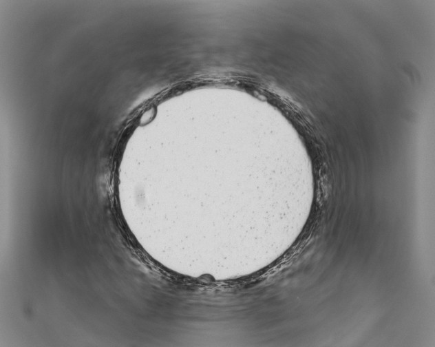 X0000110721206200907241159