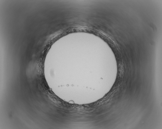 X0000110721207200907241159