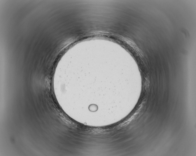 X0000110721209200907241159