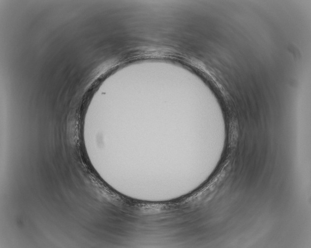 X0000110721211200907241159