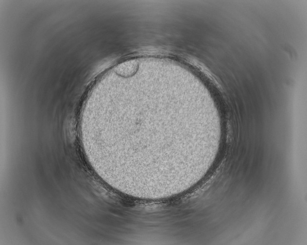 X0000110721213200907241159