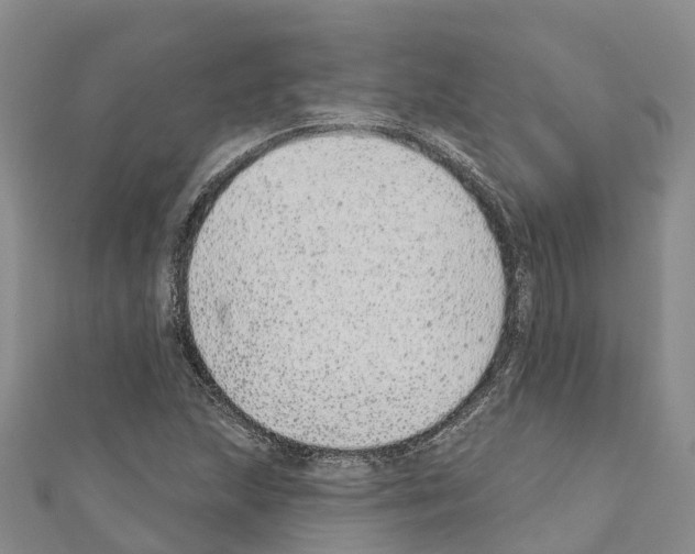 X0000110721215200907241159