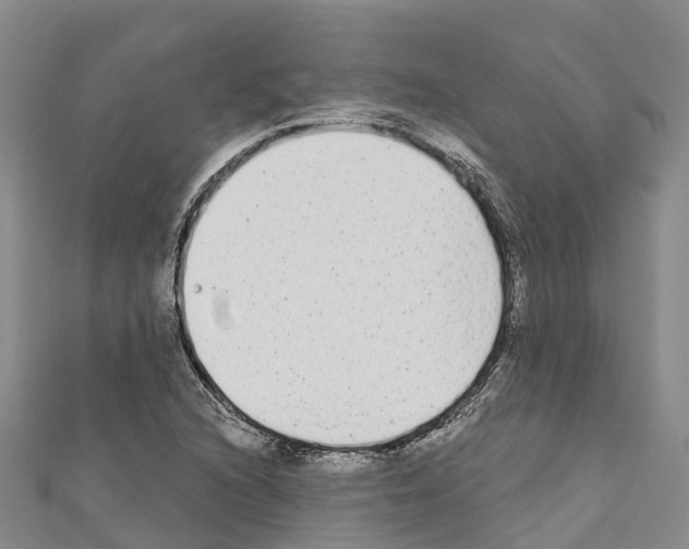 X0000110721216200907241159