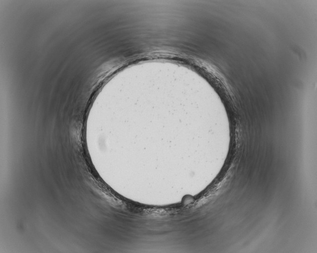 X0000110721217200907241159