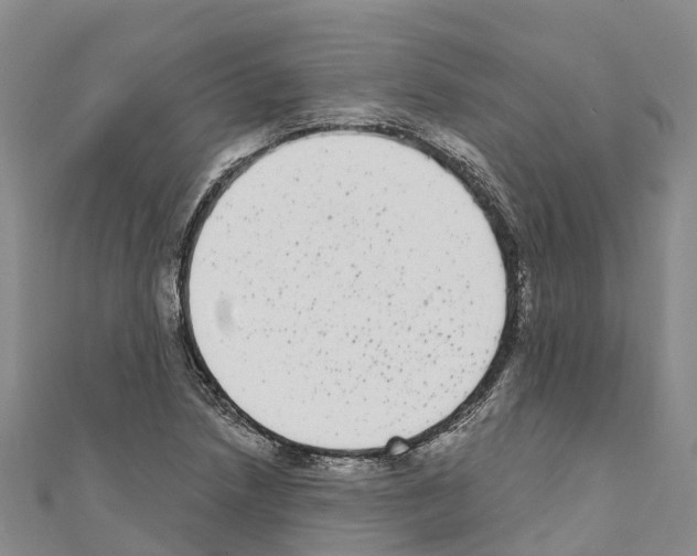 X0000110721218200907241159