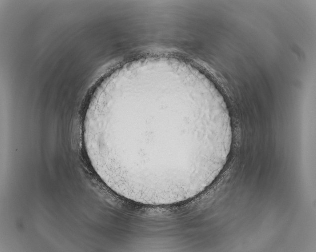 X0000110721219200907241159