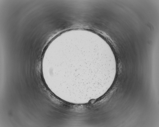 X0000110721220200907241159