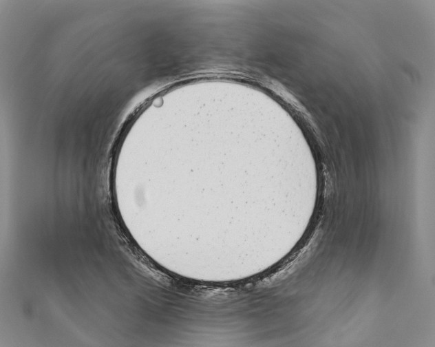 X0000110721222200907241159