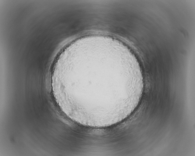 X0000110721223200907241159