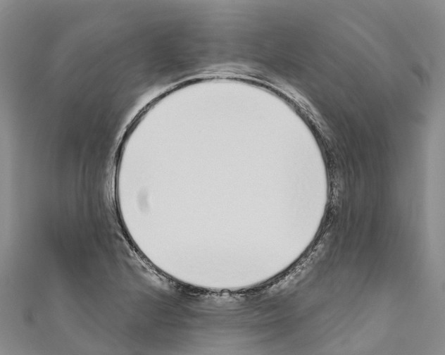 X0000110721224200907241159