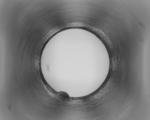 X0000110721225200907241159