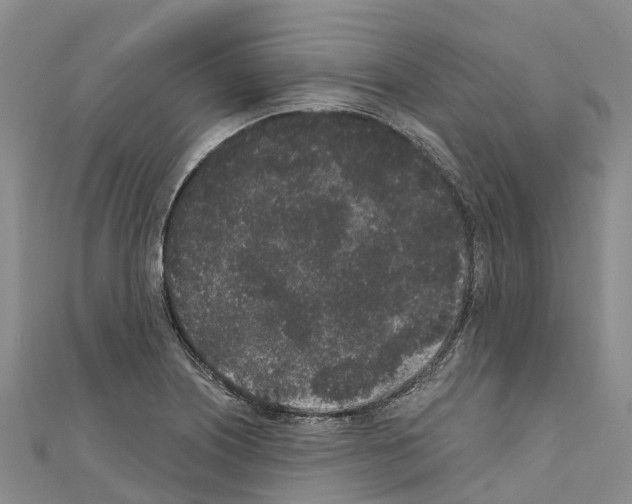 X0000110721226200907241159