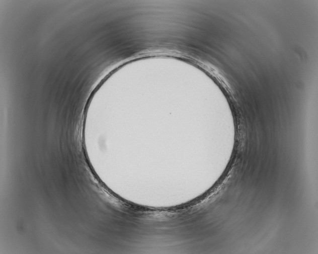 X0000110721228200907241159