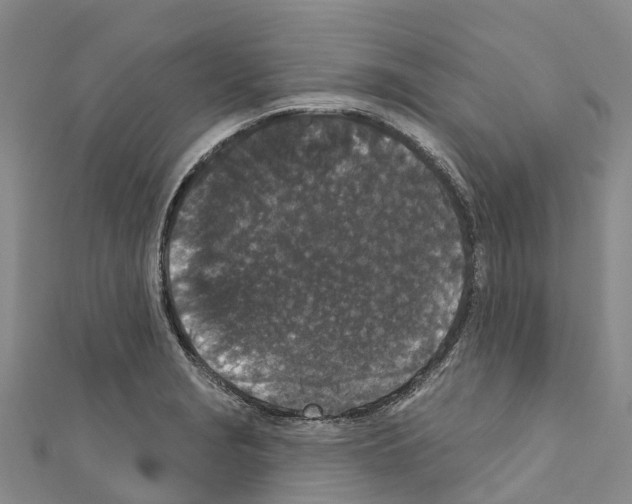 X0000110721229200907241159