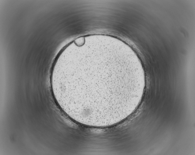 X0000110721230200907241159