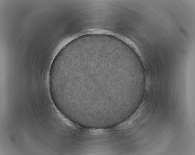 X0000110721231200907241159