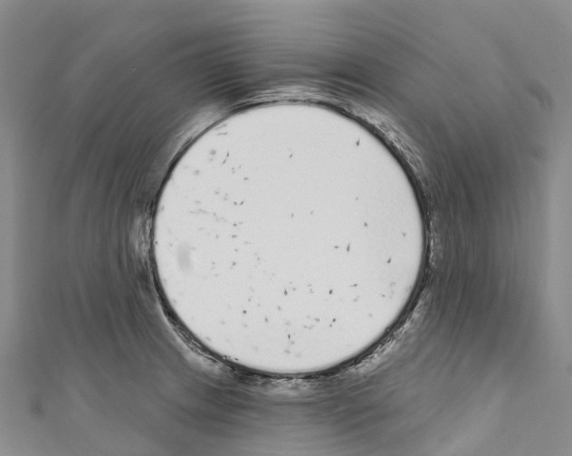 X0000110721233200907241159