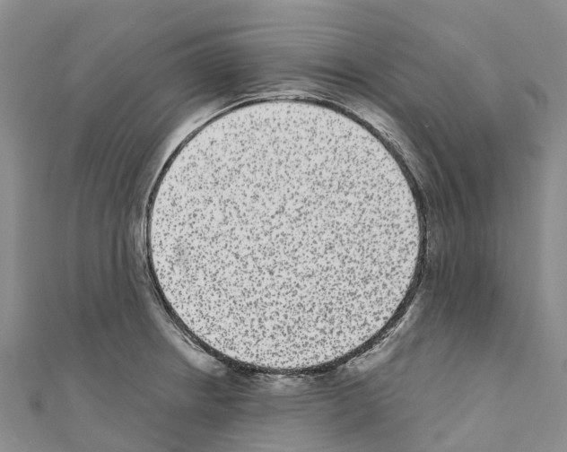 X0000110721234200907241159